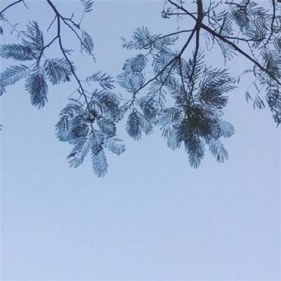 传奇纪元最新版下载